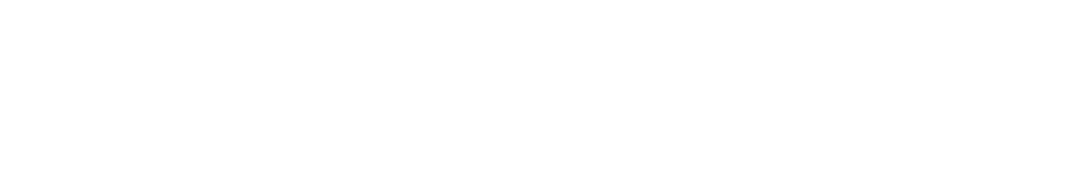LDB